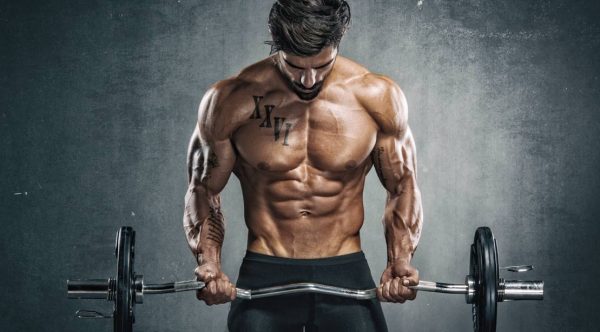 8 Week Anabolic Stack plus 4 weeks PCT